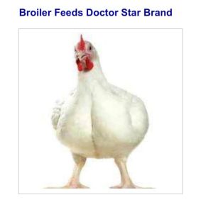 Poultry Feed