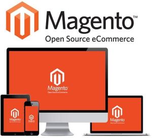 magento customization services