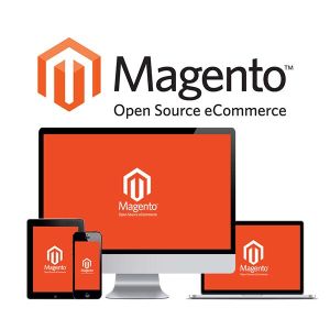 magento speed optimization services