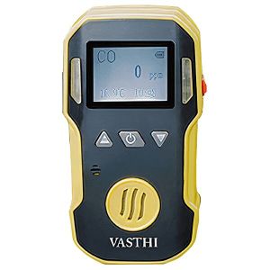 Portable Single Gas Detector