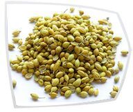 Coriander Seeds