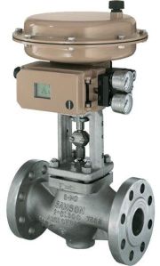 Globe Control Valve