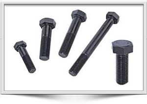 Hex Bolts