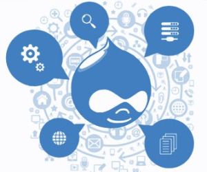 drupal development