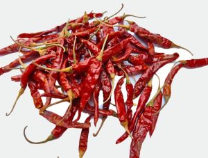 Dry Teja Red Chilli