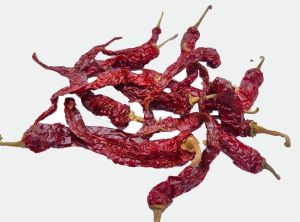 Red Dry chilli-Syngenta 2043