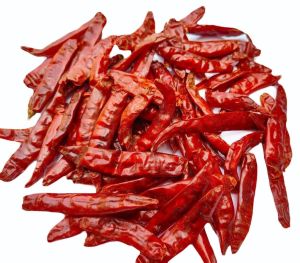 stemless red chilli-Guntur