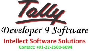 tally developer 9 software