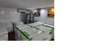 Rockwell Green Freezer