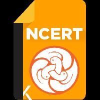 Ncert Books