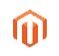 Magento Professional Course