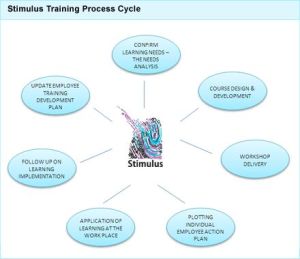 Stimulus Training Approach