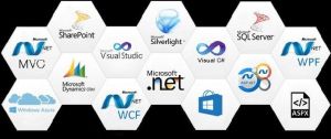 .NET Development Services