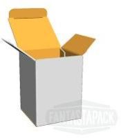 Reverse Tuck End box (RTE) - Duplex Board Cartons