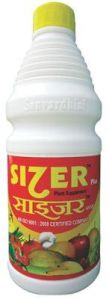 sizer