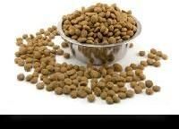 Dog Food Products