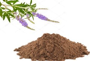 Vitex Agnus extract