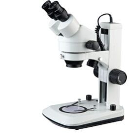 Stereo Microscope