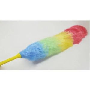 feather duster