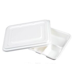 Biodegradable Meal Tray With Lead