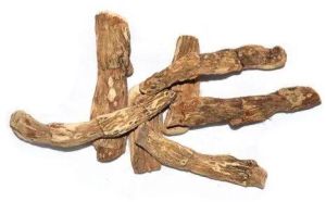 calamus root