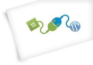 WordPress Development Company in India