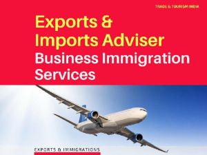 Business Immigration Services