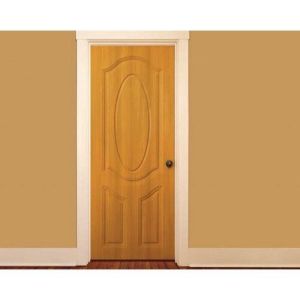 Century Ply Doors