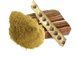 Moringa Fruit Powder