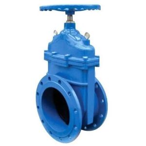 Sluice Valve