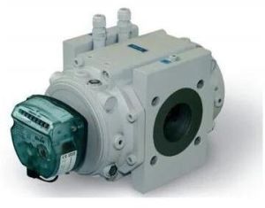 Rotary Gas Meter