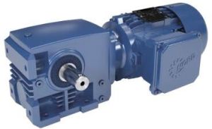 Worm Geared Motor