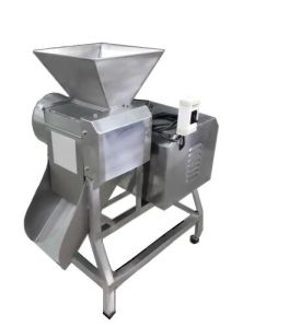 Fruit Crusher Machine