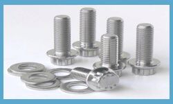 Stainless Steel Bolts