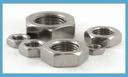 Stainless Steel Nuts