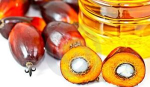 Palm Olein Oil