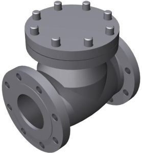 swing valves