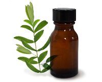 Tea Tree Oil