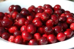 Cranberry Extract