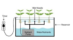 Advanced Aeroponics System