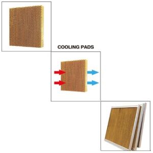 Cooling Pads