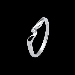 Curvacious Ring