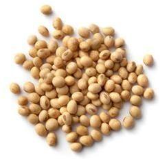 Soya Bean