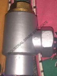 Non Return Valve