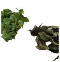 Dehydrated Mint Leaf