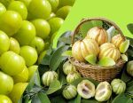 Supplements- Garcinia Cambogia