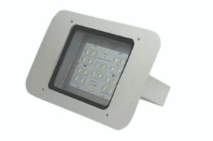 Led Canopy Light