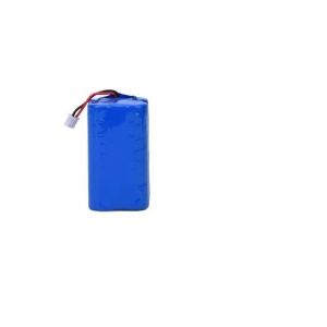 Lithium Ion Battery