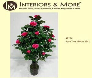 Red Rose Tree