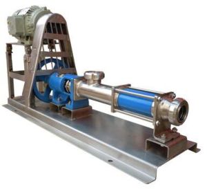 Sapota Pulp Transfer Pump